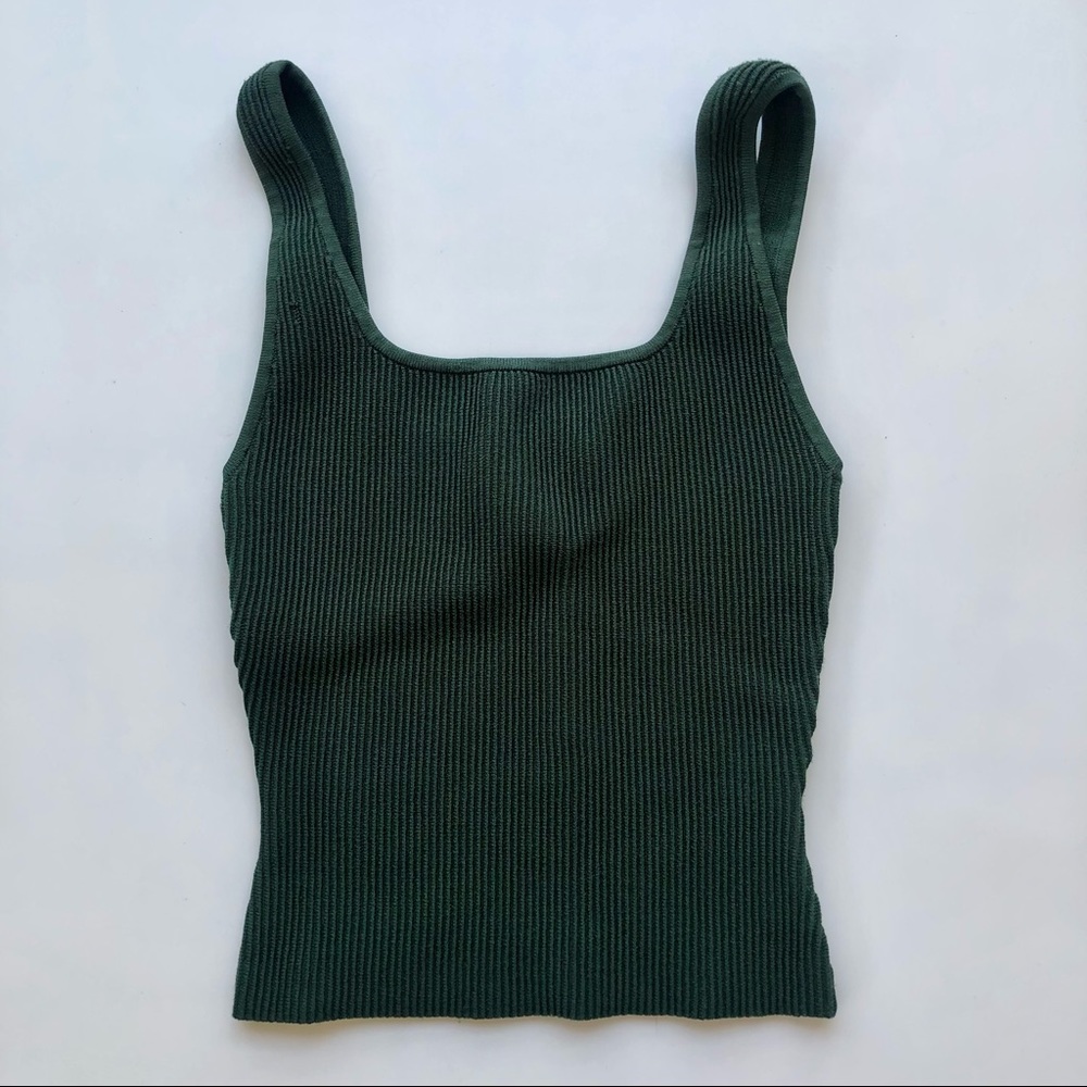 Aritzia Sculpt Knit in Dionsys Color
